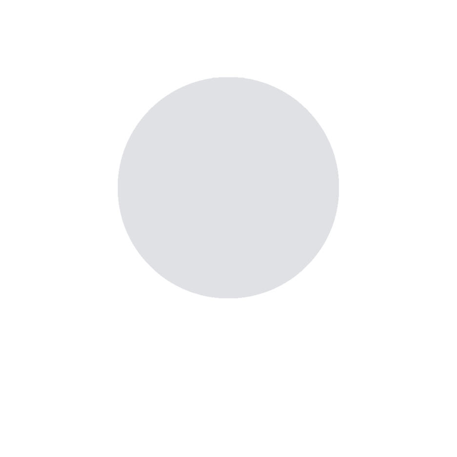 The Veil The beginning